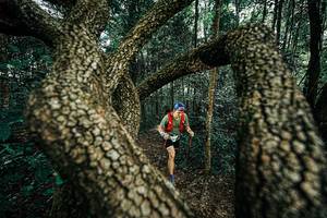 BIB: 
                            <button type="button" onclick="openModal(25394126)" class="btn btn-primary btn-sm float-right btn-popup" data-toggle="modal" data-target=".modal-high-quality">
                        <i class="fas fa-shopping-cart"></i> Add to Cart
                    </button>
                                            <button type="button" onclick="isThisMe(25394126, true)" class="btn btn-success btn-sm float-right btn-popup btn-isme hidden" data-toggle="tooltip" data-placement="bottom" title="นี่คือรูปของคุณใช่ไหม คลิกที่นี่เพื่อเอาเข้าอัลบั้ม">
                        <i class="fas fa-plus"></i> Add to album
                    </button>
                    <button type="button" onclick="isThisMe(25394126, false)" class="btn btn-warning btn-sm float-right btn-popup btn-isnotme hidden">
                        <i class="fas fa-ban"></i> Remove from album
                    </button>